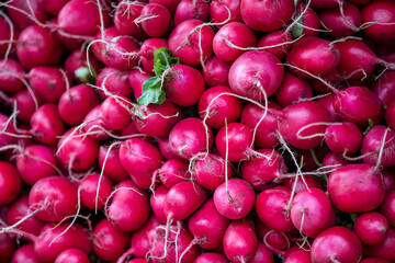 Radishes on display at a farmers market