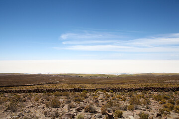 Grass and salt flats in Bolivia