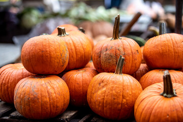 Pumpkins on display at a farmers market