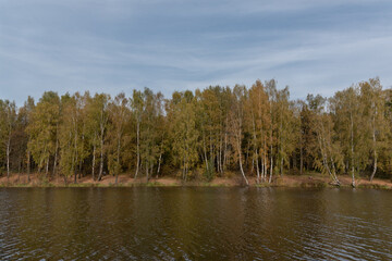 lake in the woods