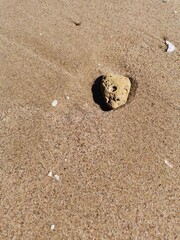 Curious stone on the sand of the beach