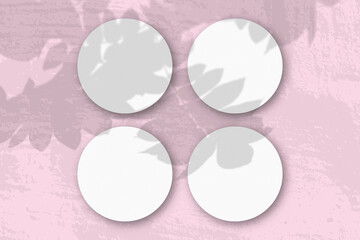 Natural light casts shadows from a Rowan branch on 4 round sheets of white textured paper