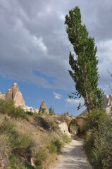 Scenic view of the surreal landscape of Cappadocia, Turkey, surrounded or framed by trees