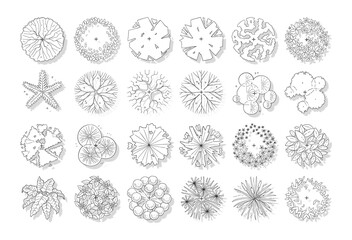 vector of top view tree set, hand drawn sketch isolated on white background