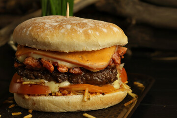 rich hamburger with meat and cheese