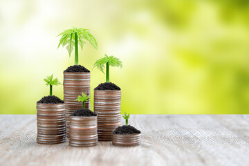 Pile of coins is stacked in a graph shape with sapling of a growing tree for money saving ideas and financial planning insurance.