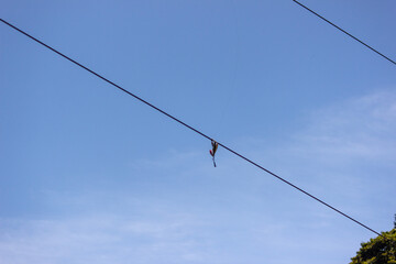 電線にかかった釣り具（ルアー）は危険　lures on electric line