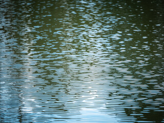 Reflection of the Clean and Calm Lagoon Water