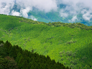 山