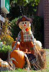 scarecrow in the garden thanksgiving