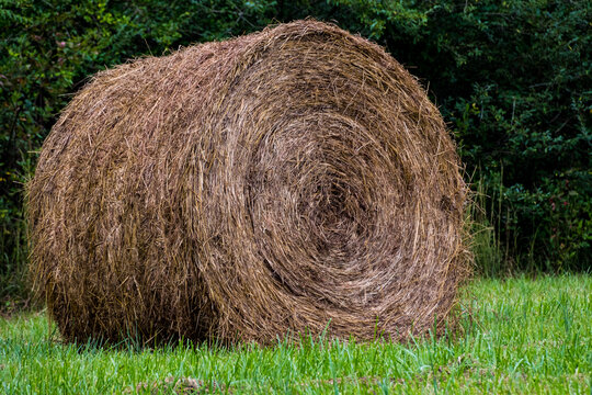 Balers that produce the large round bales you see dotting the countryside are the most common type of balers available today. These balers produce what are referred to as ton bales. These bales of hay