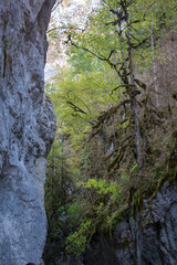 National park Horma canyon