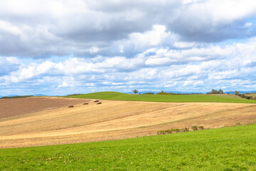 Fototapeta premium 北海道 美瑛 パッチワークの丘の風景
