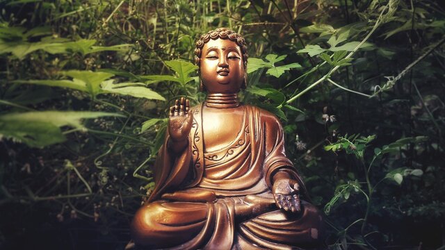 photograph of buddha statue in meditation in the forest