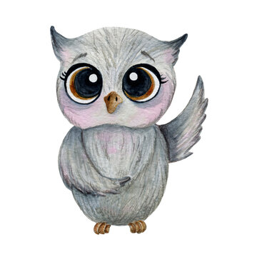 Watercolor illustration, character, gray owl on a white background. Cute children's illustration with paints, bird with big eyes.