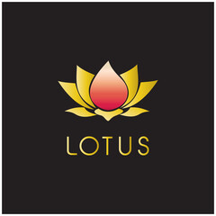 Lotus Flower logo design inspiration