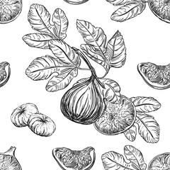 Detailed hand drawn black and white illustration seamless pattern of figs, leaf. sketch. Vector. Elements in graphic style label, card, sticker, menu, package.