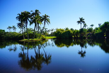 Obraz premium Fairchild tropical botanic garden in Miami, FL, USA