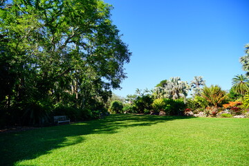 Obraz premium Fairchild tropical botanic garden in Miami, FL, USA