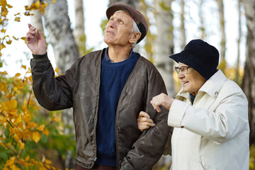 elderly couple walking in the Park and laughing