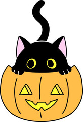 Black cat hides in Halloween pumpkin.