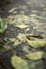 Overrun