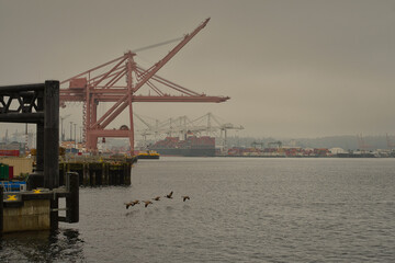 2020-10-10 THE WATERFRONT HARBOR IN SEATTLE WITH CRANES AND CARGO SHIPS