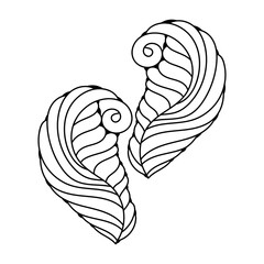 Design elements, sea shells, hand drawn illustration, black and white, original design
