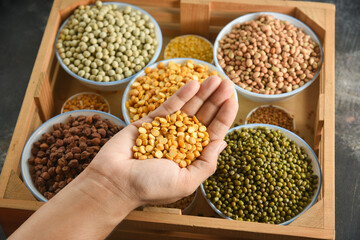 Various sources of vegetable protein beans, lentils, peas, chickpeas, mung bean in bowls. Indian...