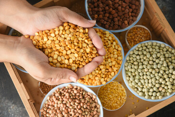 Various sources of vegetable protein beans, lentils, peas, chickpeas, mung bean in bowls. Indian...