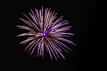 bright sparkling fireworks purple and gold on the night sky.