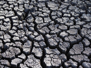 Dry and cracked earth grey background closeup