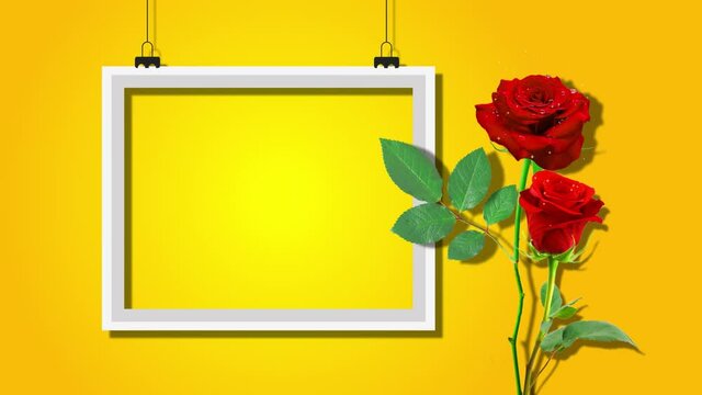 red rose flowers with white frame animation footage,glowing and shiny stars on flowers,yellow background