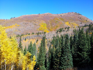 Wasatch Mountains in shades of Autumn, Millcreek Canyon, Salt Lake City, Utah