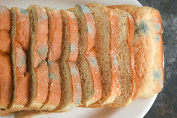 not fresh mouldy slice of stale bread. Mould on sliced bread with harmful bacteria. Fungal mold Spoiled, moldy inedible food Rotten and uneatable. modify fungus into an anti-virus chemical.