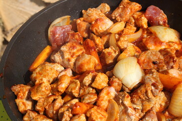 goulash with carrots and onions in a pan