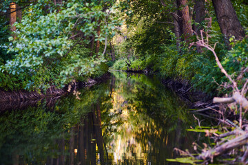 Rural river with green trees on the background during sunset