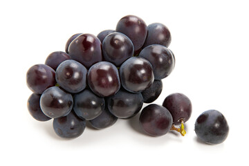 ニューピオーネ