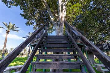 A house on the tree with wooden stairs and paths, against a background of grass.