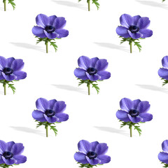 Fototapeta na wymiar Seamless pattern. Blue anemone flowers on white background