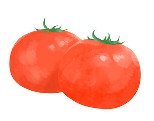トマト　イラスト　水彩画