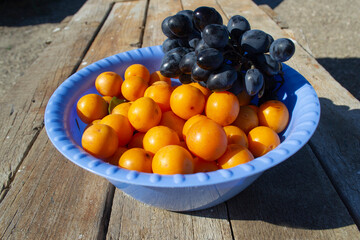 Yellow cherry plum fruit and black grapes in a purple Cup on a wooden table.