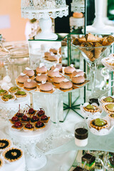 Wedding candy bar with different colored bright cupcakes, macaroons, cakes, jelly and fruits.