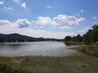 clear lake under clear sky