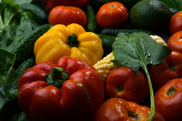 Multicolored fresh vegetables: zucchini, tomatoes, cucumbers, bell peppers, corn, with water droplets.