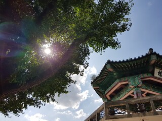 octagonal, sunlight, clear sky