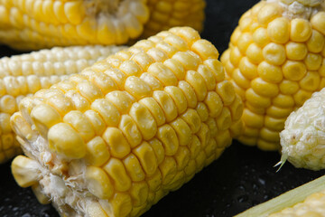 Fresh raw sweet corn cobs on black background