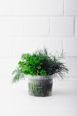 A bunch of greenery on a white background.