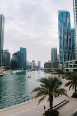 Dubai marina skyscrapers and man made lake