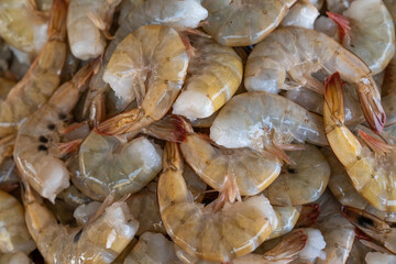 frozen tropical shrimp at the seafood market 